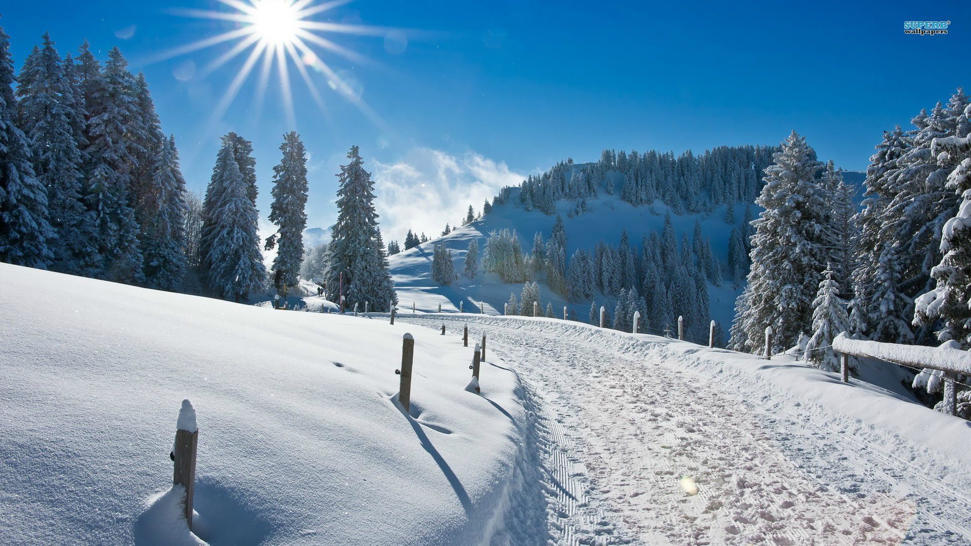 Winter Ipad Wallpapers, Winter Picture - Good Morning Winter Hd - HD Wallpaper 