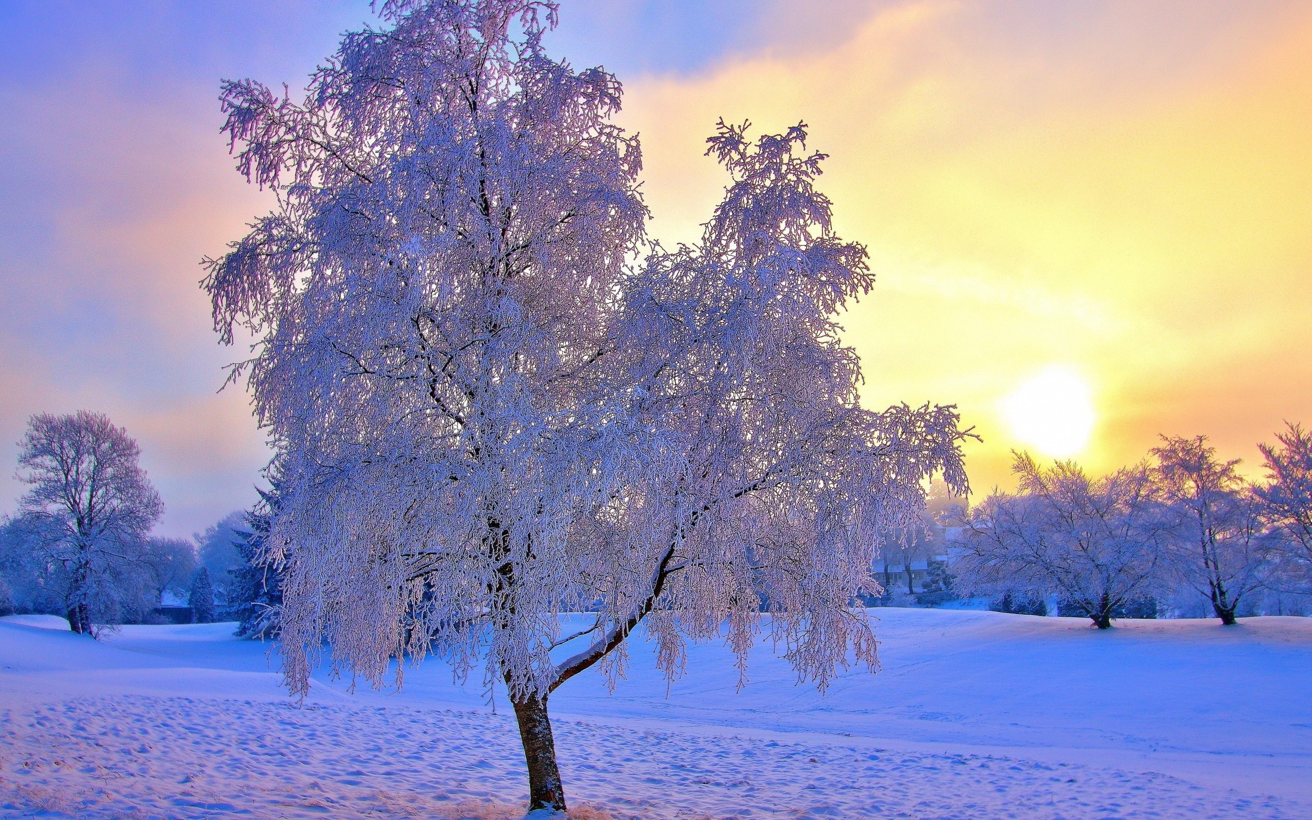 Winter Wallpaper Macbook Retina 2560x1600 Wallpaper Teahub Io