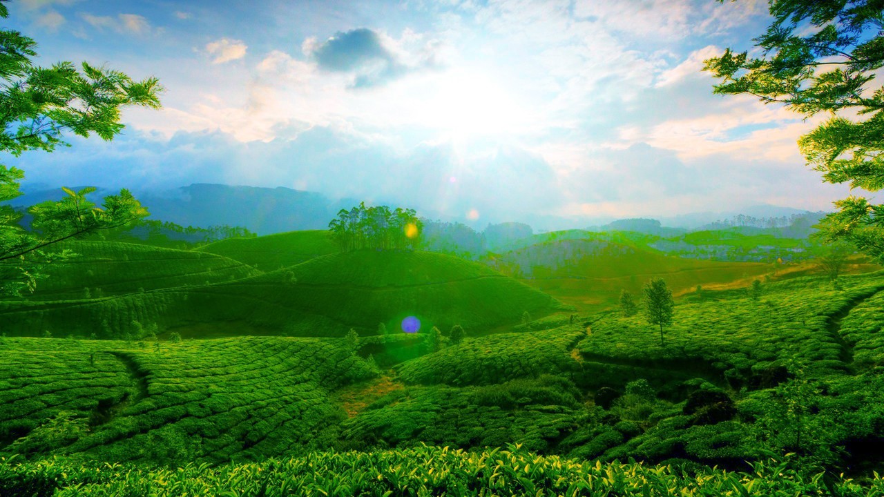 Landscape Wallpapers Full Hd, Best Wallpapers Full - Green Landscape Wallpaper Hd - HD Wallpaper 