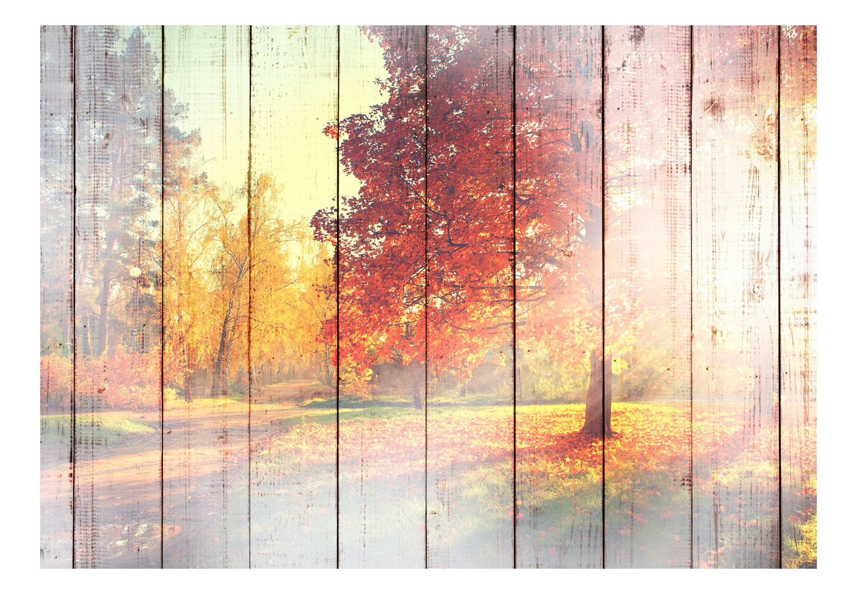 Wallpapers > Landscapes > Forest Mural From Walldesigners - Fototapeta Słońce - HD Wallpaper 