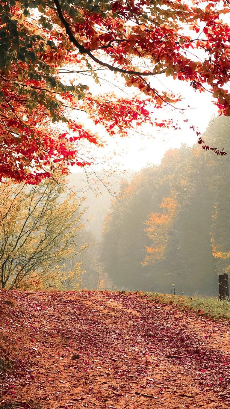 Leaves Beautiful Fall Quotes - HD Wallpaper 