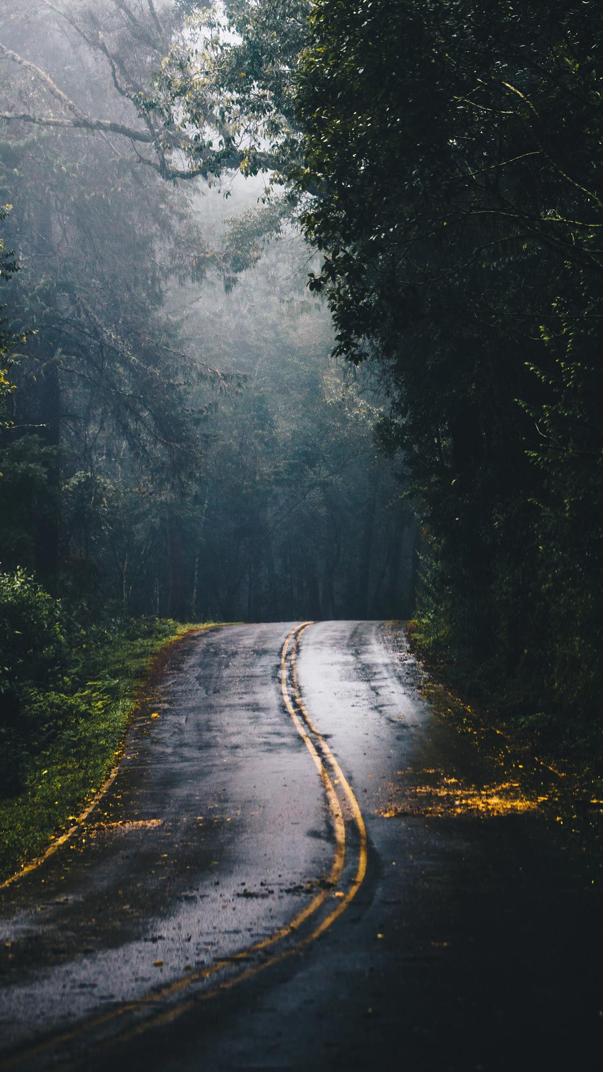 Royal Enfield Night Ride - HD Wallpaper 