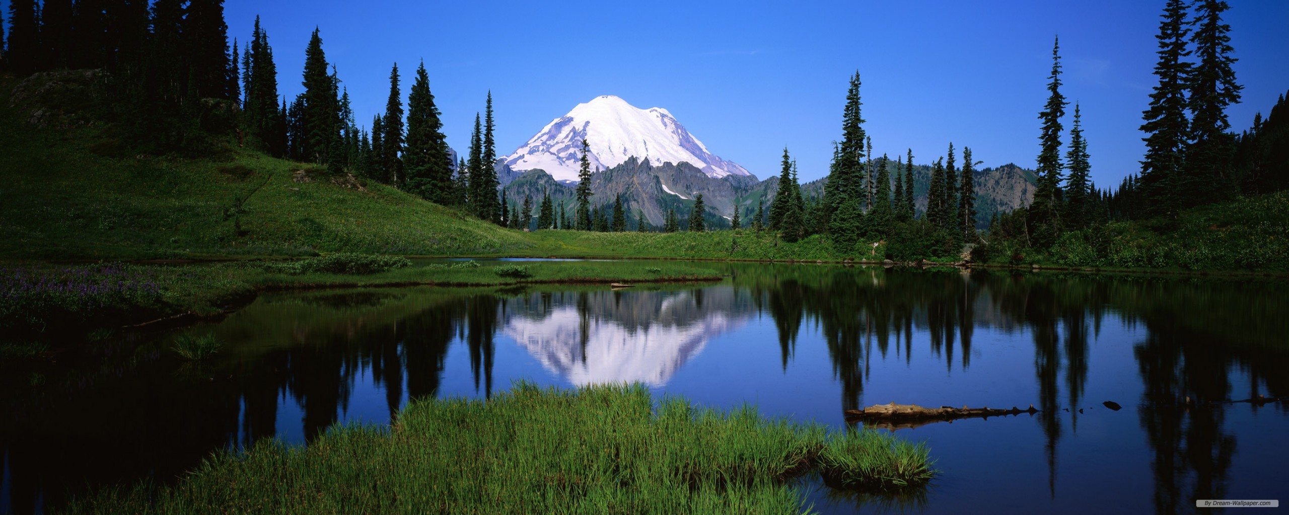 Free Nature Wallpaper - Mount Rainier - HD Wallpaper 