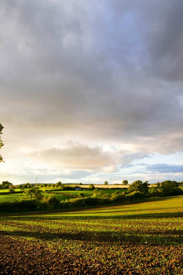 Amazing Landscape Wallpapers - Field - HD Wallpaper 