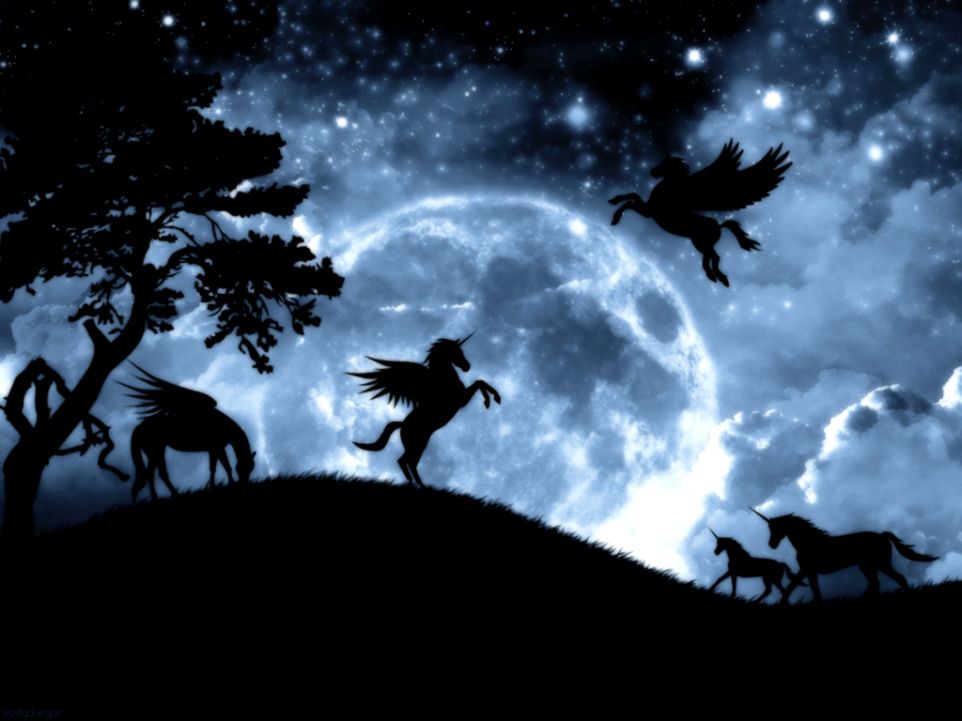 Unicorns Images Moonlight Hd Wallpaper And Background - Unicorn Backgrounds - HD Wallpaper 