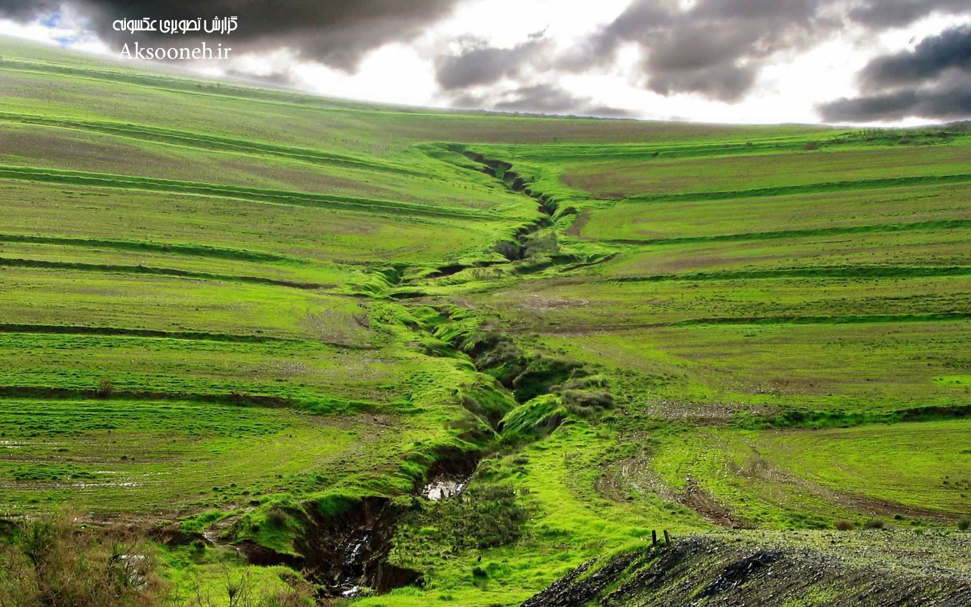 Field - HD Wallpaper 