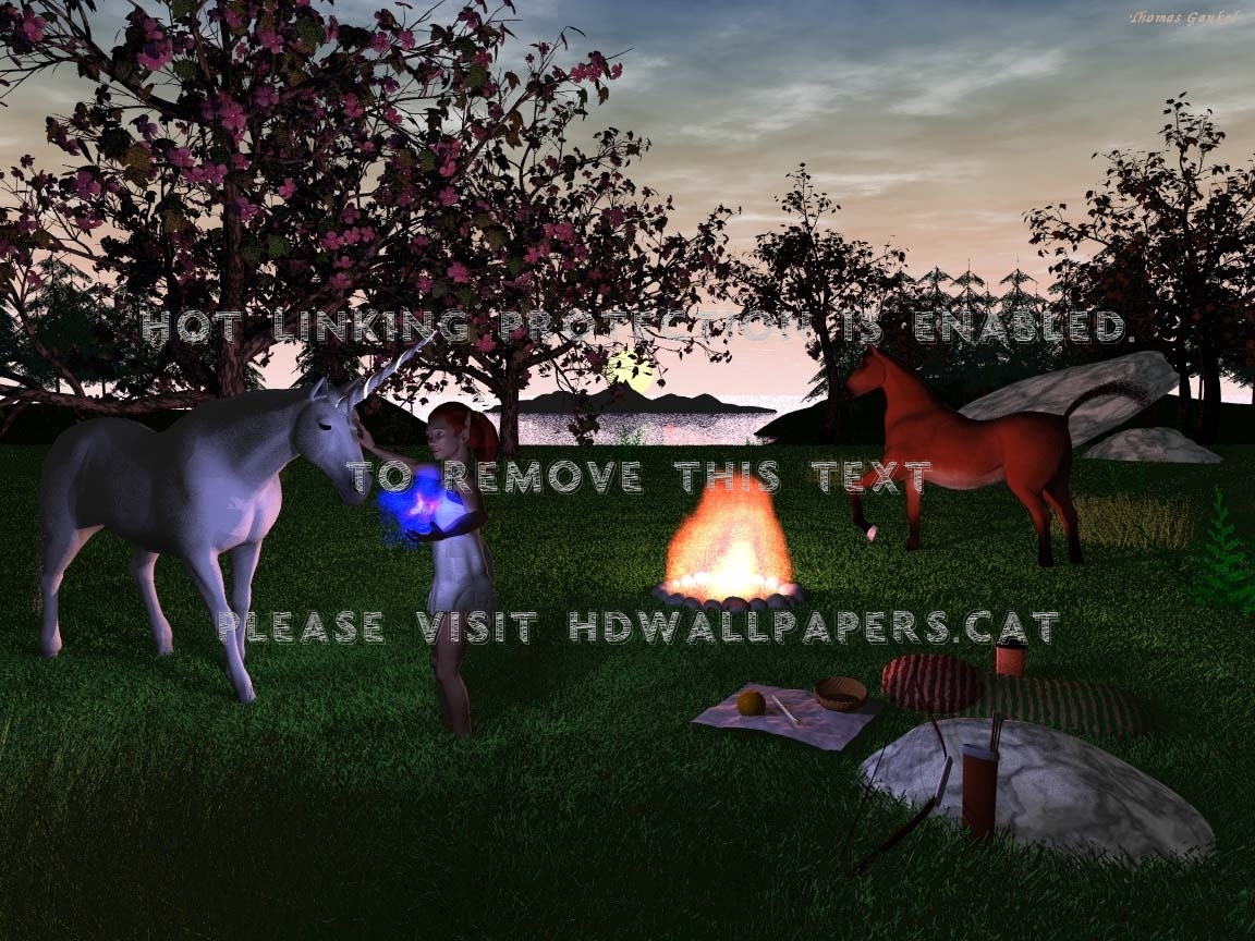 Unic Elf Fantasy Unicorn Campfire Night 3d - Stallion - HD Wallpaper 