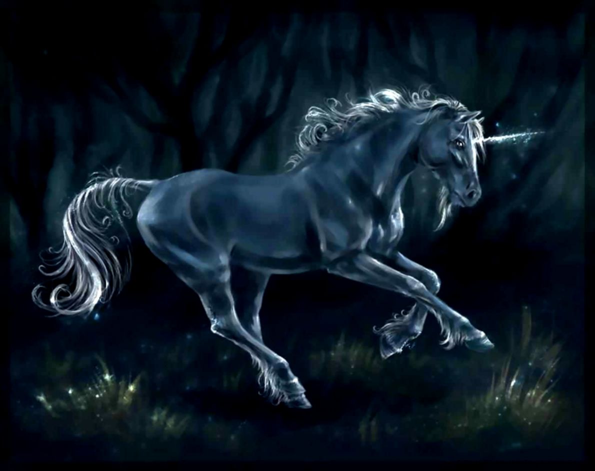 Black Unicorn Desktop Wallpaper - Unicorn Gandalf - HD Wallpaper 