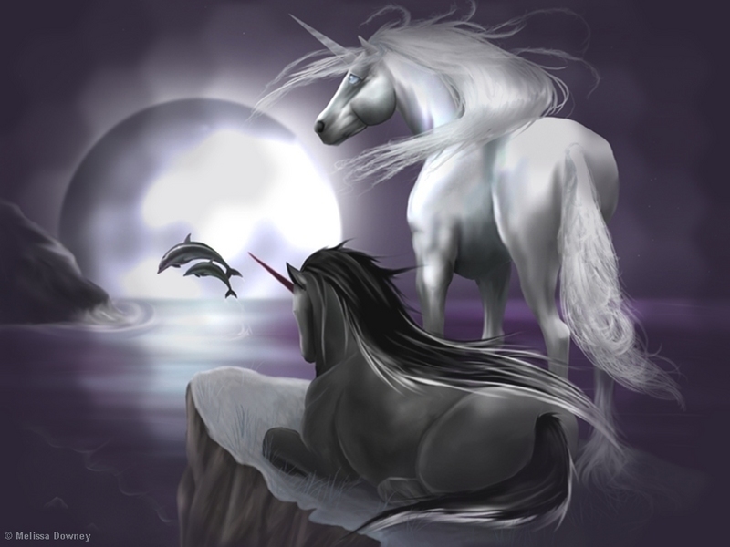 Black Unicorn And White Unicorn - HD Wallpaper 