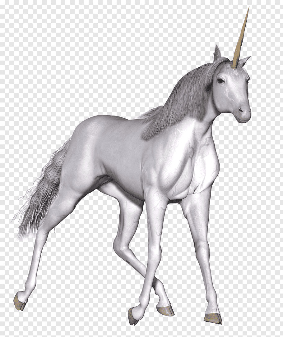 White Unicorn, Full White Unicorn Walking Free Png - Unicorn - HD Wallpaper 
