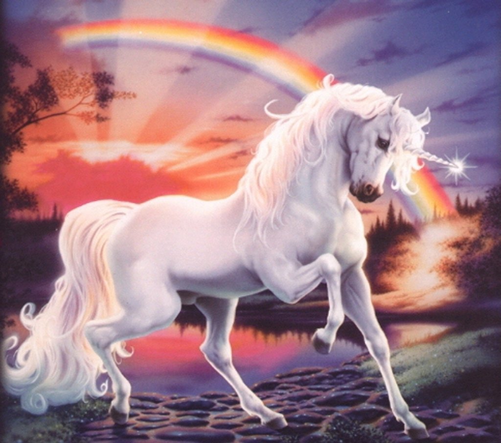 Real Life Magical Unicorn - HD Wallpaper 