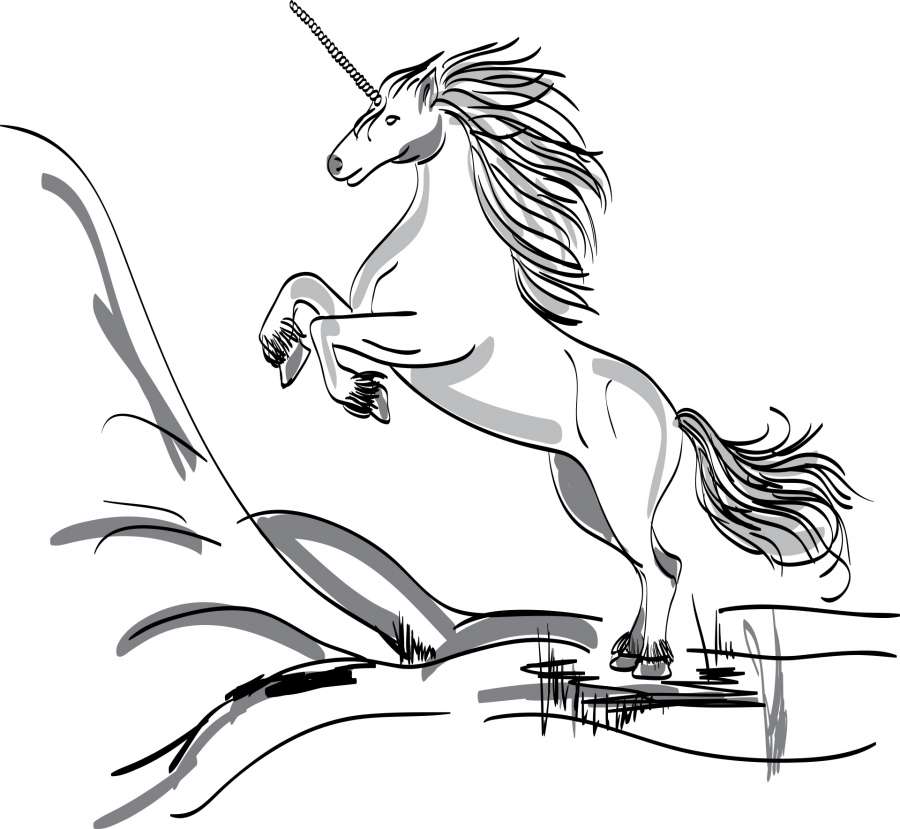 Unicornio Blanco Y Negro - HD Wallpaper 