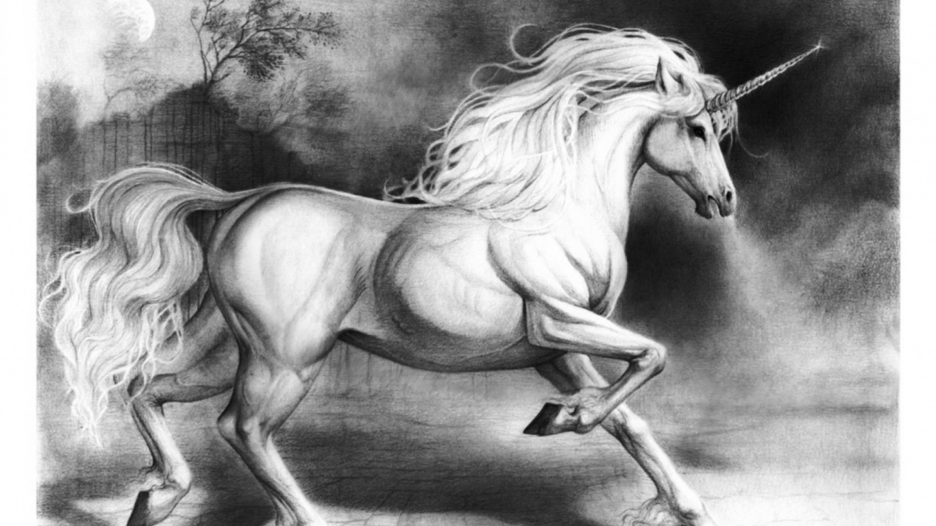 Unicorn - HD Wallpaper 