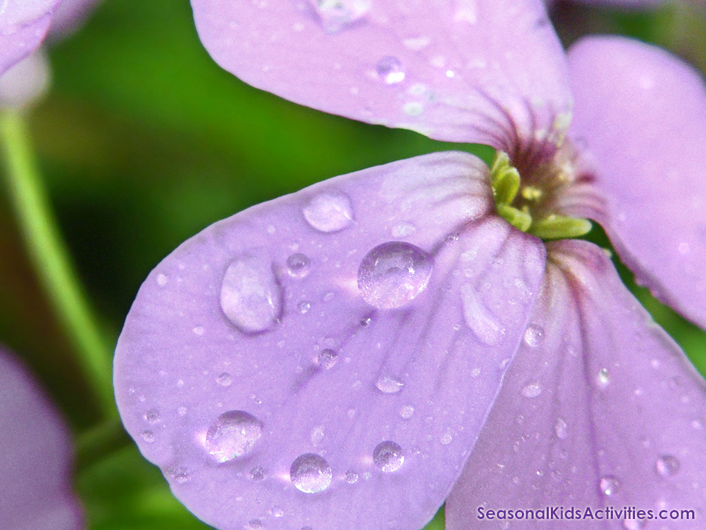 Also Has Free Unicorn Desktop Wallpapers - Spring Wallpapers For Desktop - HD Wallpaper 