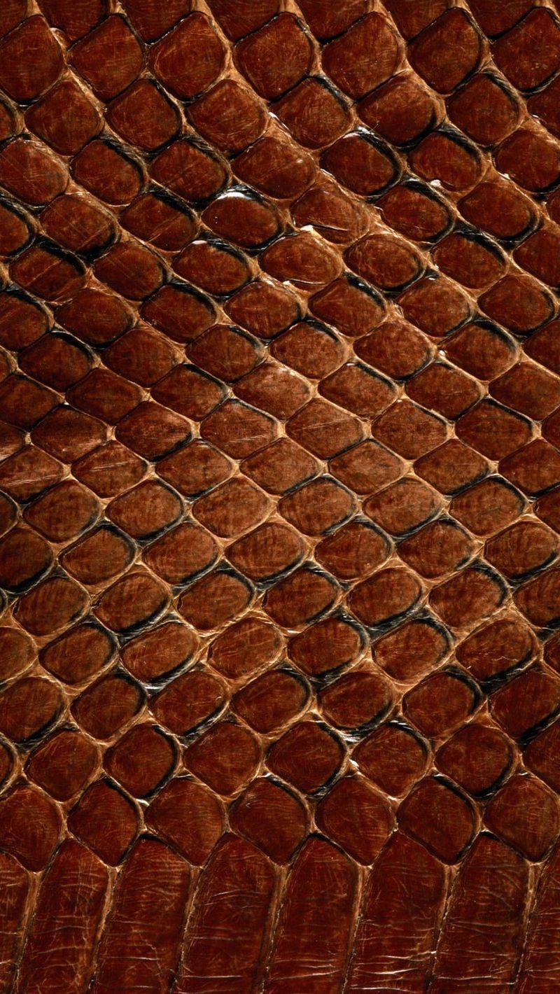 Wallpaper Texture, Leather, Snake, Scales, Background - Skin Snake - HD Wallpaper 