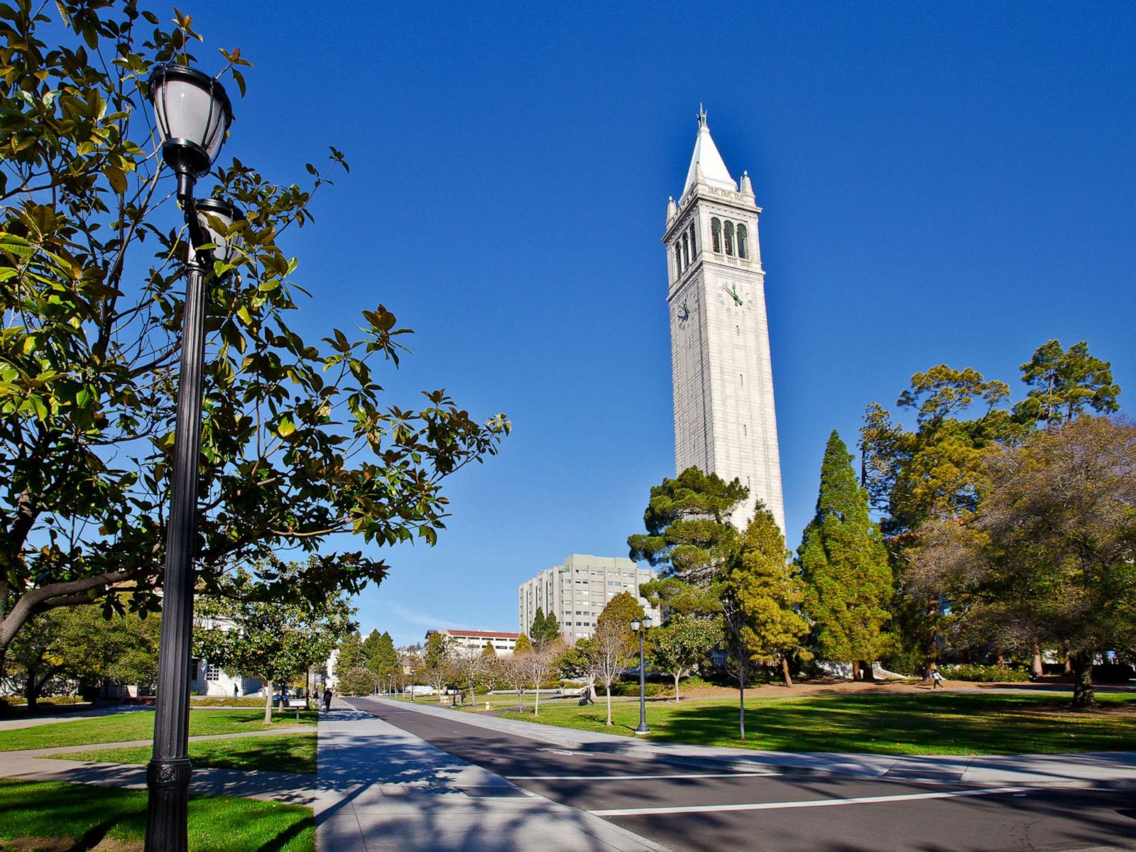 University Of California Street - HD Wallpaper 