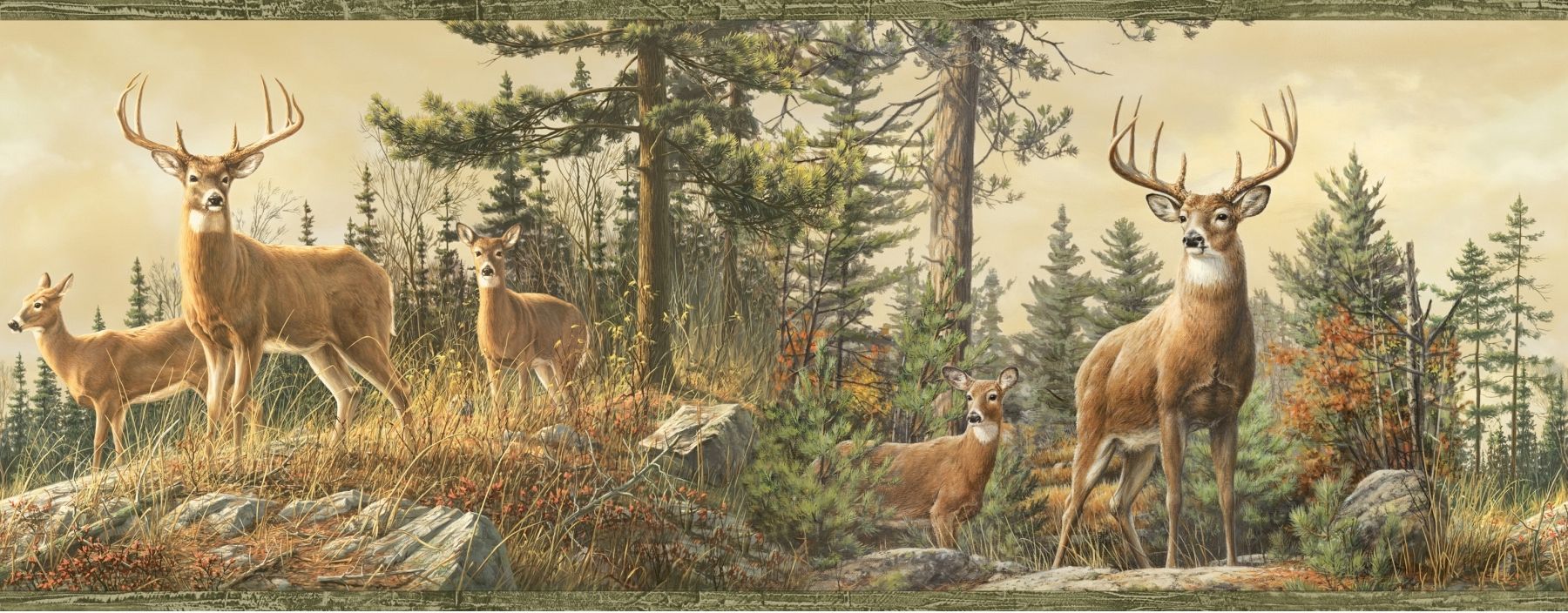 Deer Hd Wallpapers Backgrounds Wallpaper - Deer Wallpaper Border - 1800x704  Wallpaper 