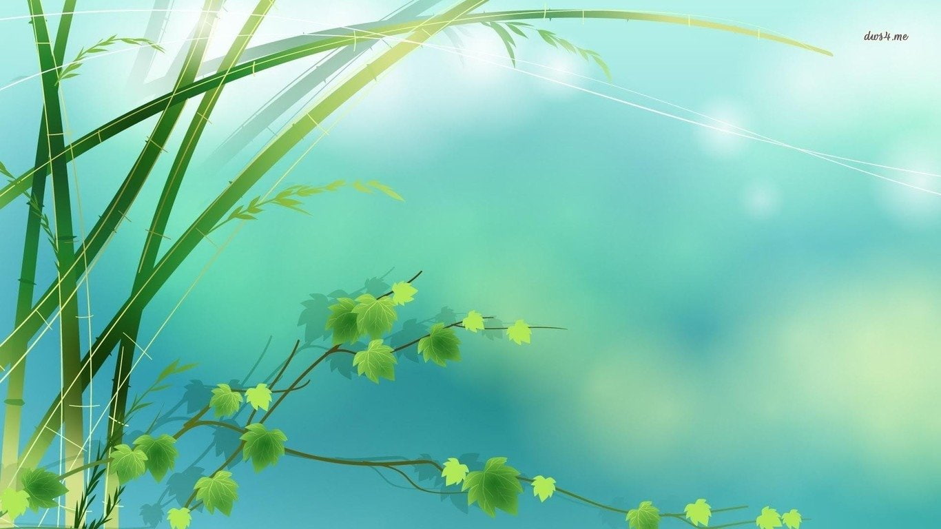 Bamboo Leaves - HD Wallpaper 