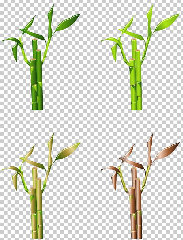 Grasses Drawing Graphics Bambou Png, Clipart, Bamboo, - Portable Network Graphics - HD Wallpaper 