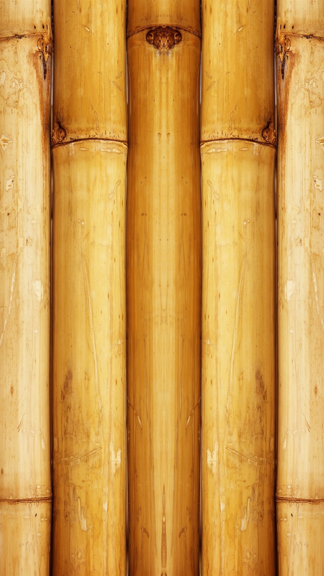 Iphone 6 Wallpaper Bamboo - HD Wallpaper 