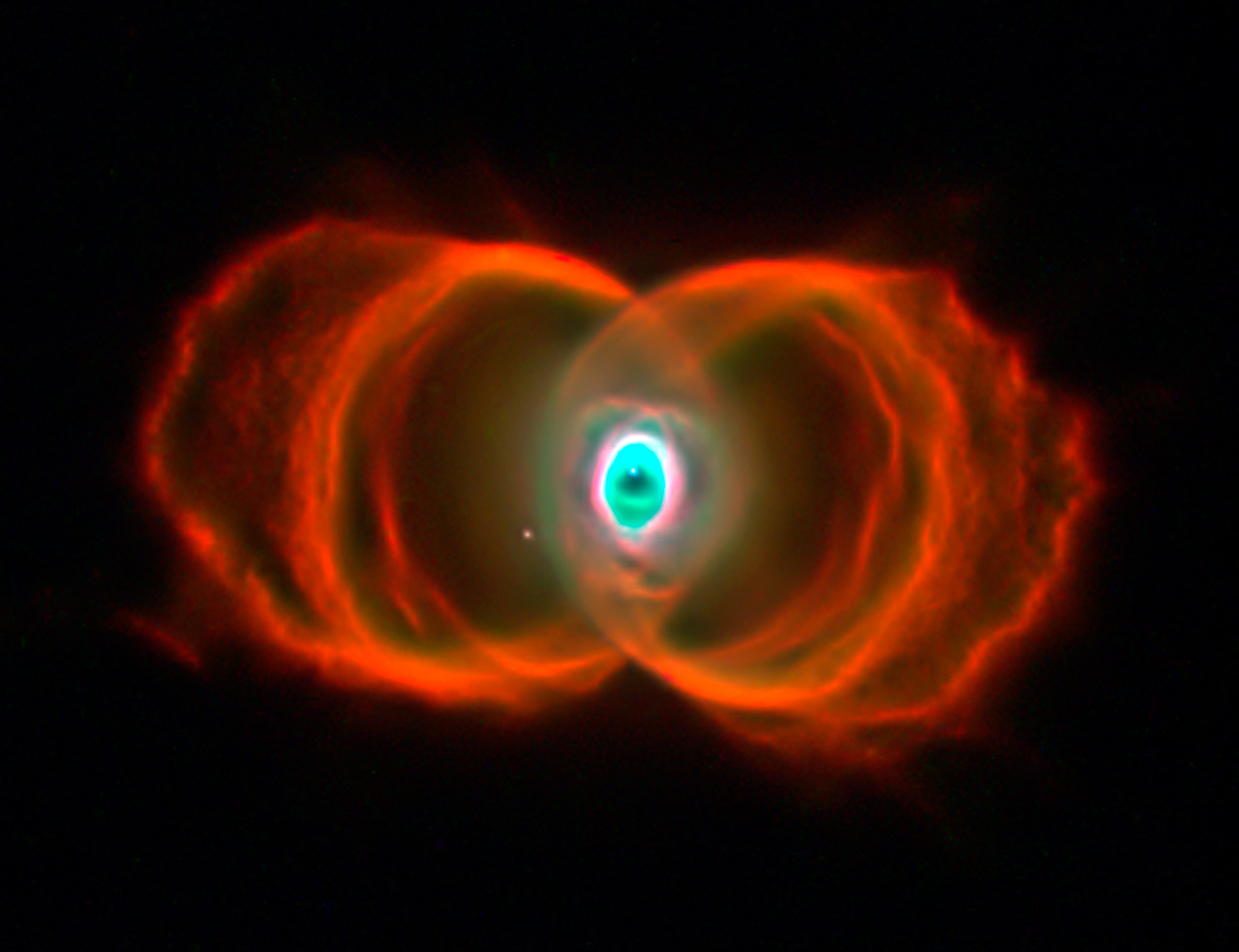 Vesica Piscis In Nature - HD Wallpaper 