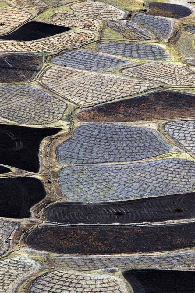 Iphone Wallpaper India, Himachal Pradesh, Fields - Wallpaper - HD Wallpaper 