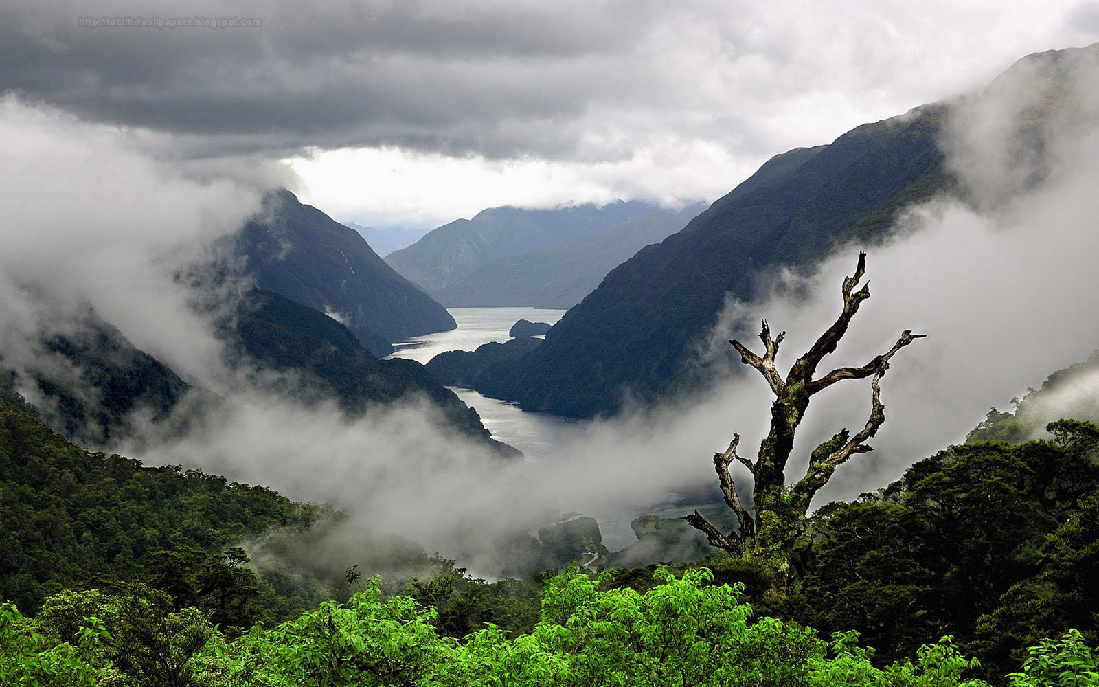 Doubtful Sound - HD Wallpaper 