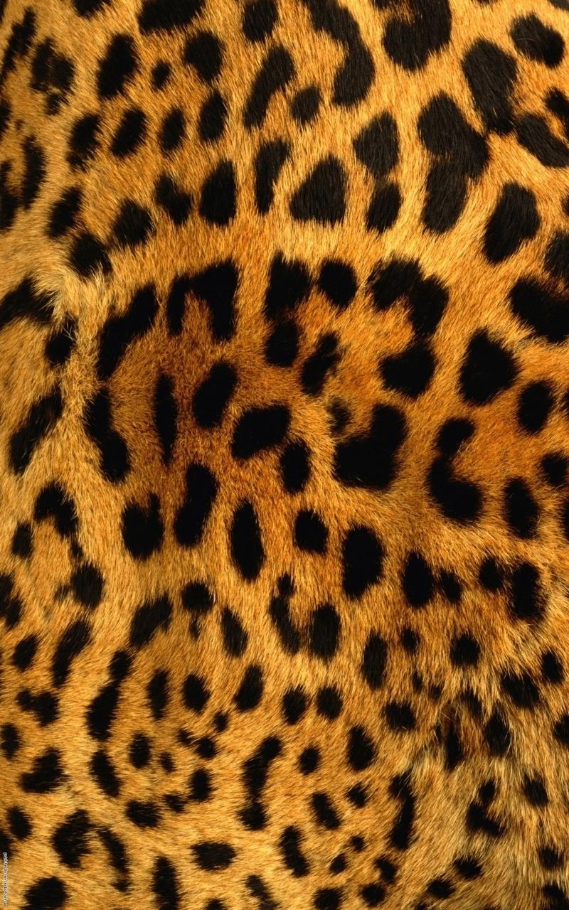 Leopard Iphone Wallpaper - Hd Leopard Print Iphone - HD Wallpaper 