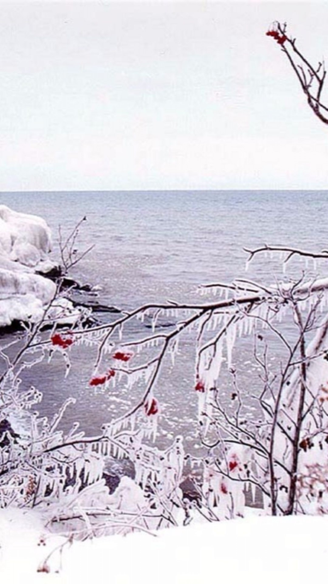 Wallpaper - HD Wallpaper 