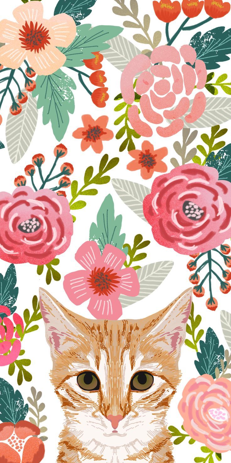 Iphone Pink Wallpaper Cat - HD Wallpaper 