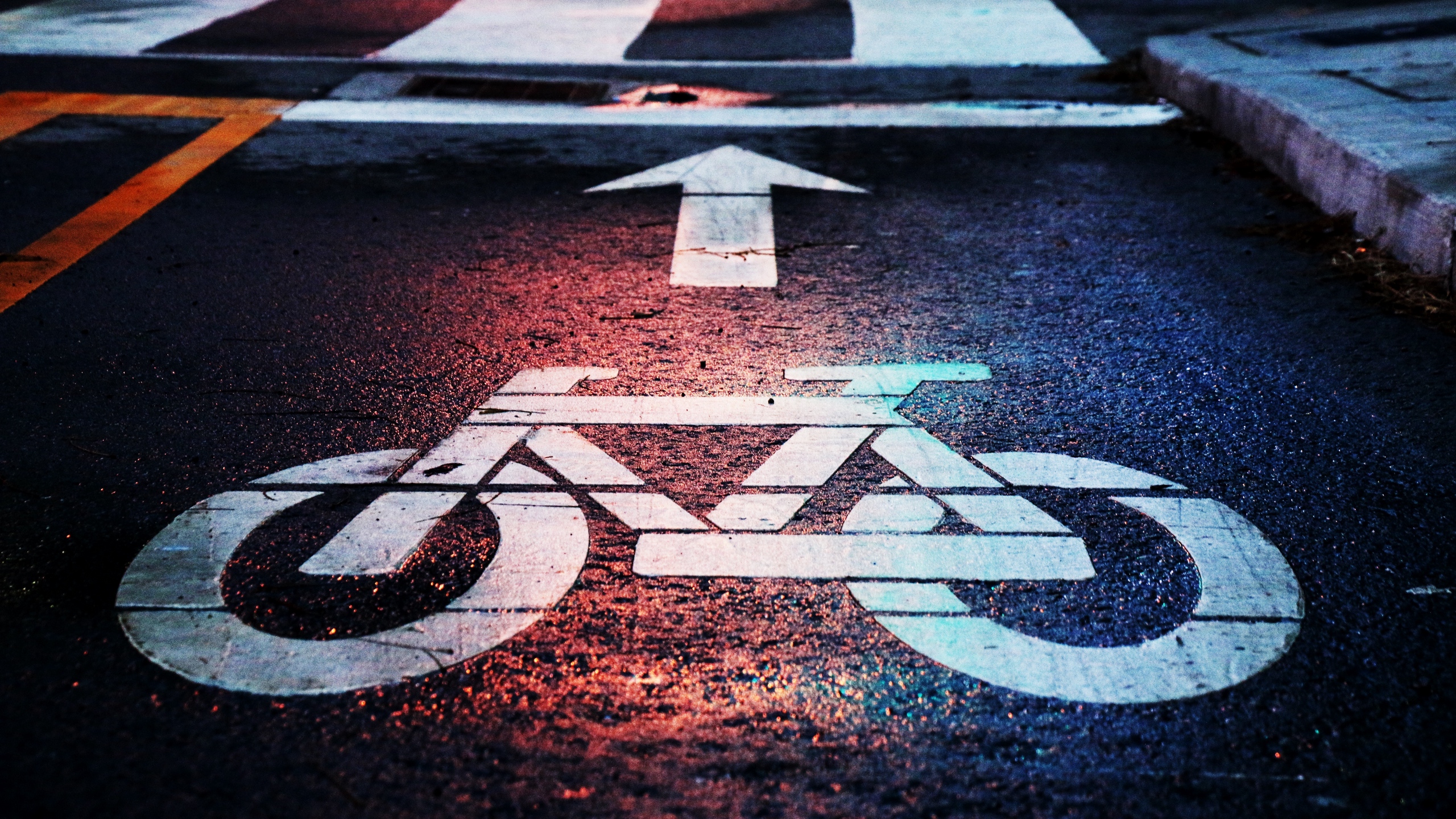 Wallpaper Bicycle, Marking, Road, Route - خطوط دوچرخه سواری در خیابان های کانادا - HD Wallpaper 