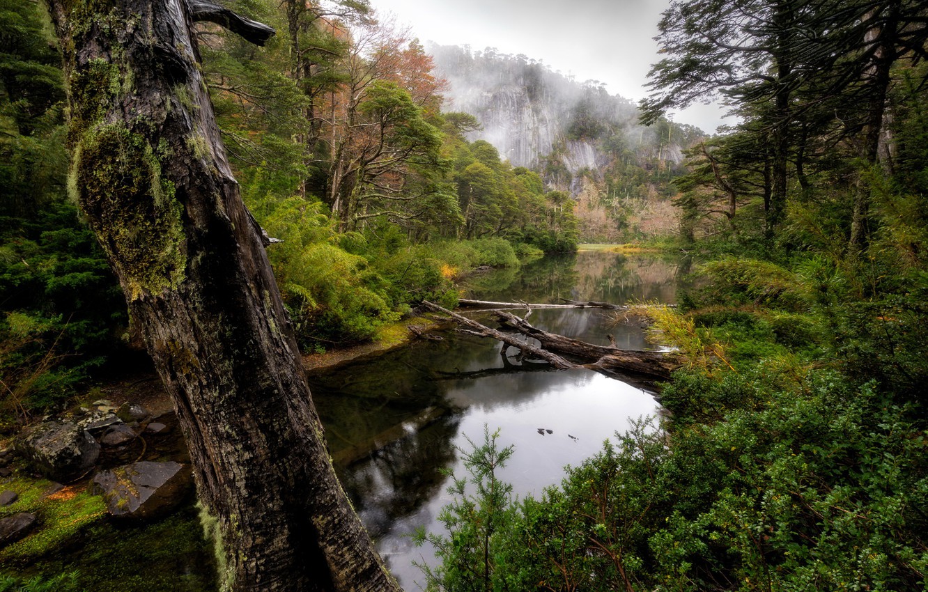 Photo Wallpaper Chile, Huerquehue National Park, Araucania - Parque Nacional Huerquehue - HD Wallpaper 