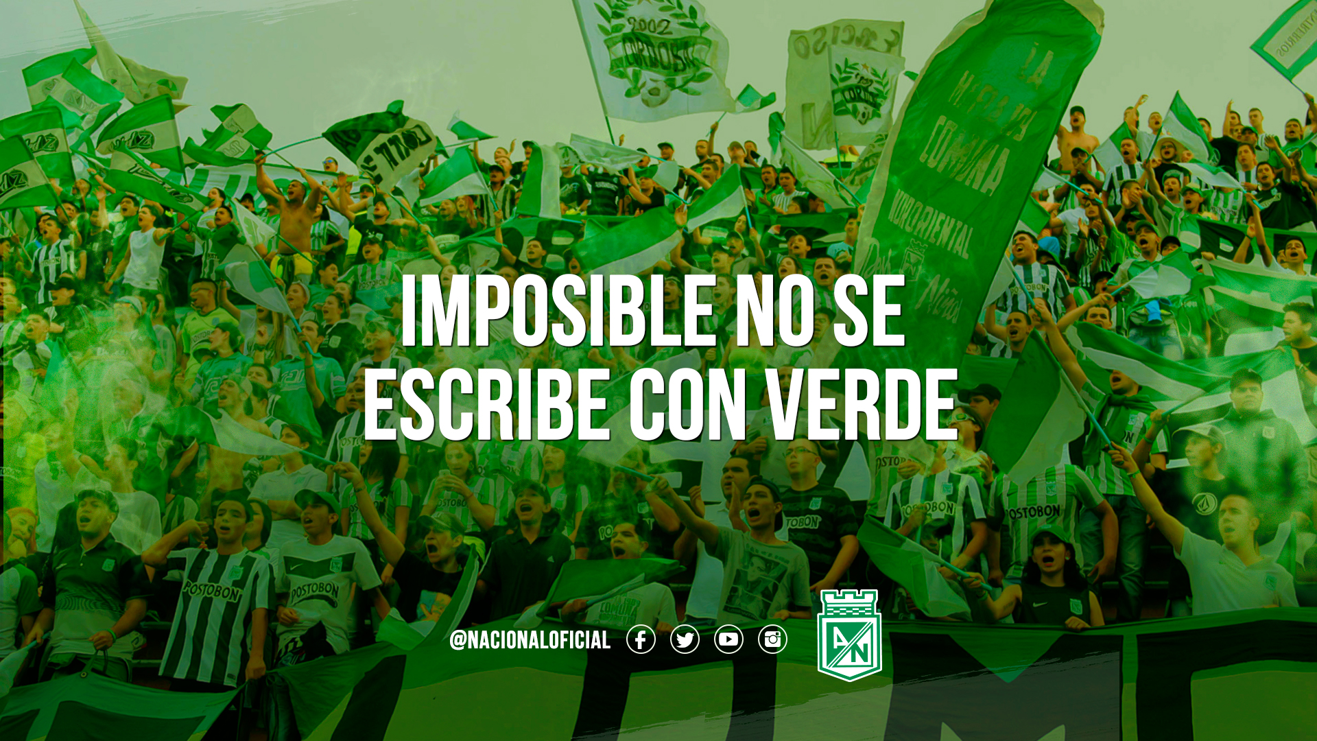 Saint Patrick's Day - HD Wallpaper 