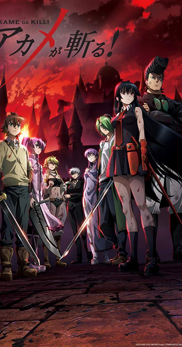 Akame Ga Kill - HD Wallpaper 