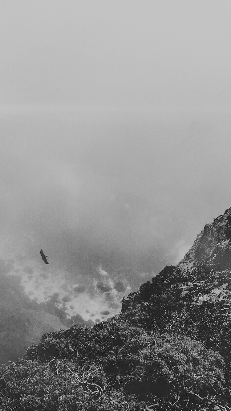 Com Apple Iphone Wallpaper Mt81 Mountain Bird Cliff - Mi Alma Se Aferra A Ti Biblia - HD Wallpaper 