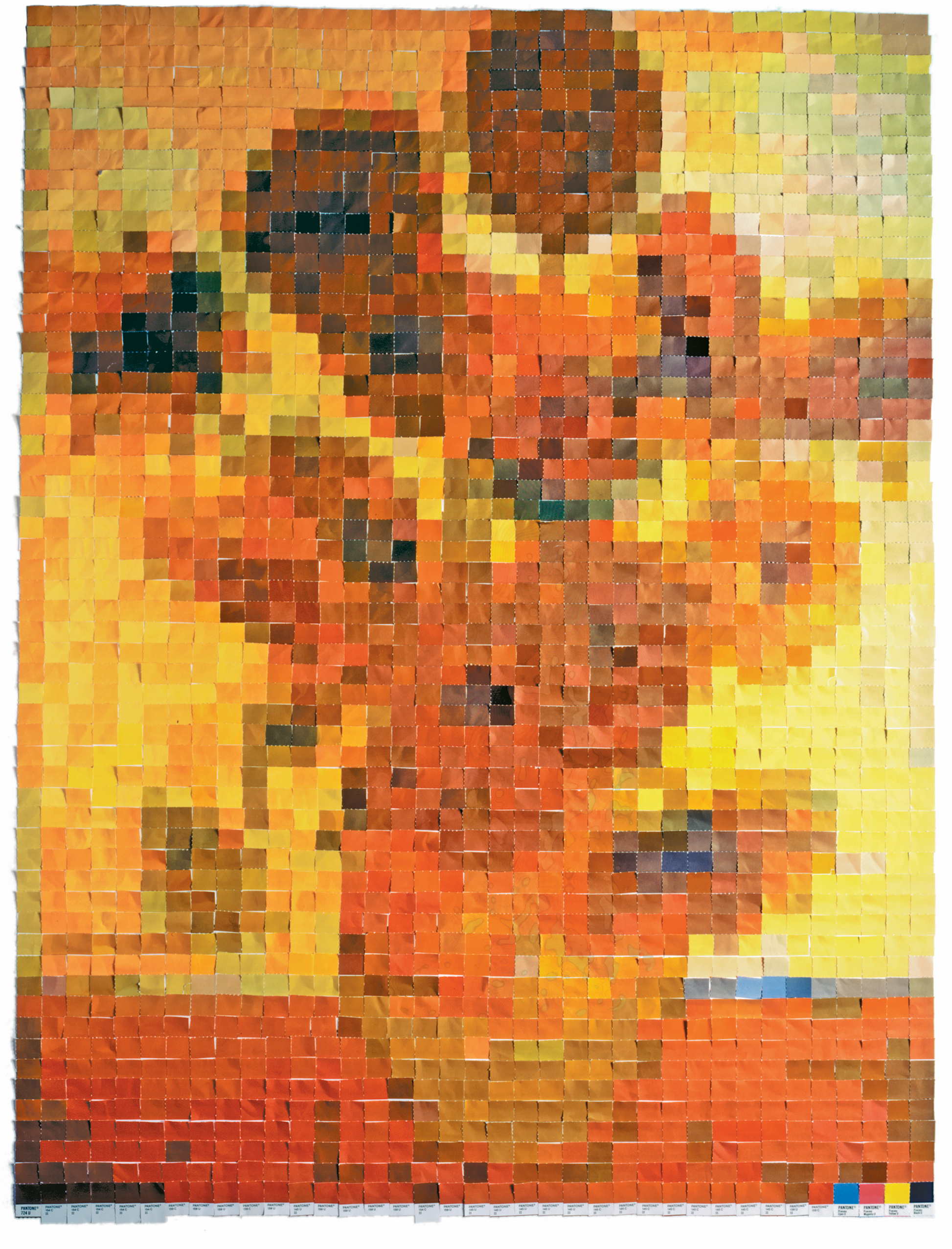 Vik Muniz Pictures Of Color - HD Wallpaper 