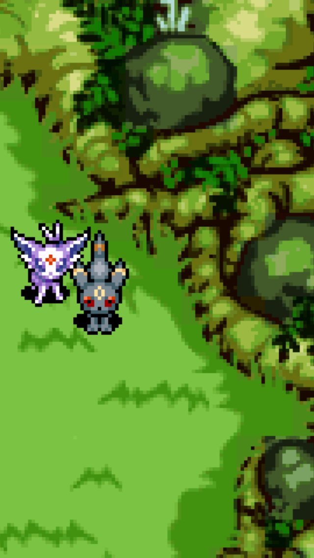 Umbreon Pokemon Mystery Dungeon - HD Wallpaper 