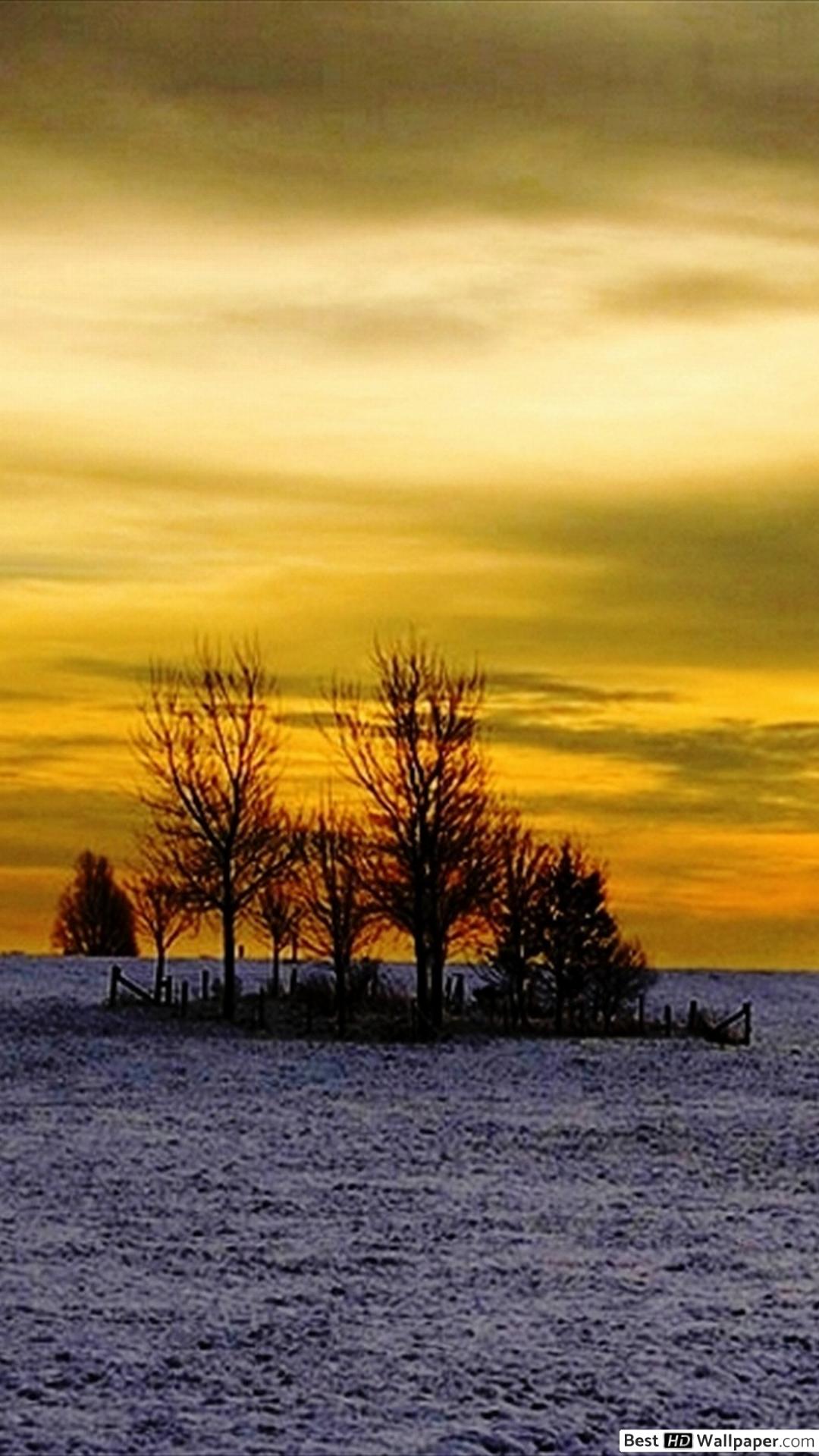 Apple - HD Wallpaper 