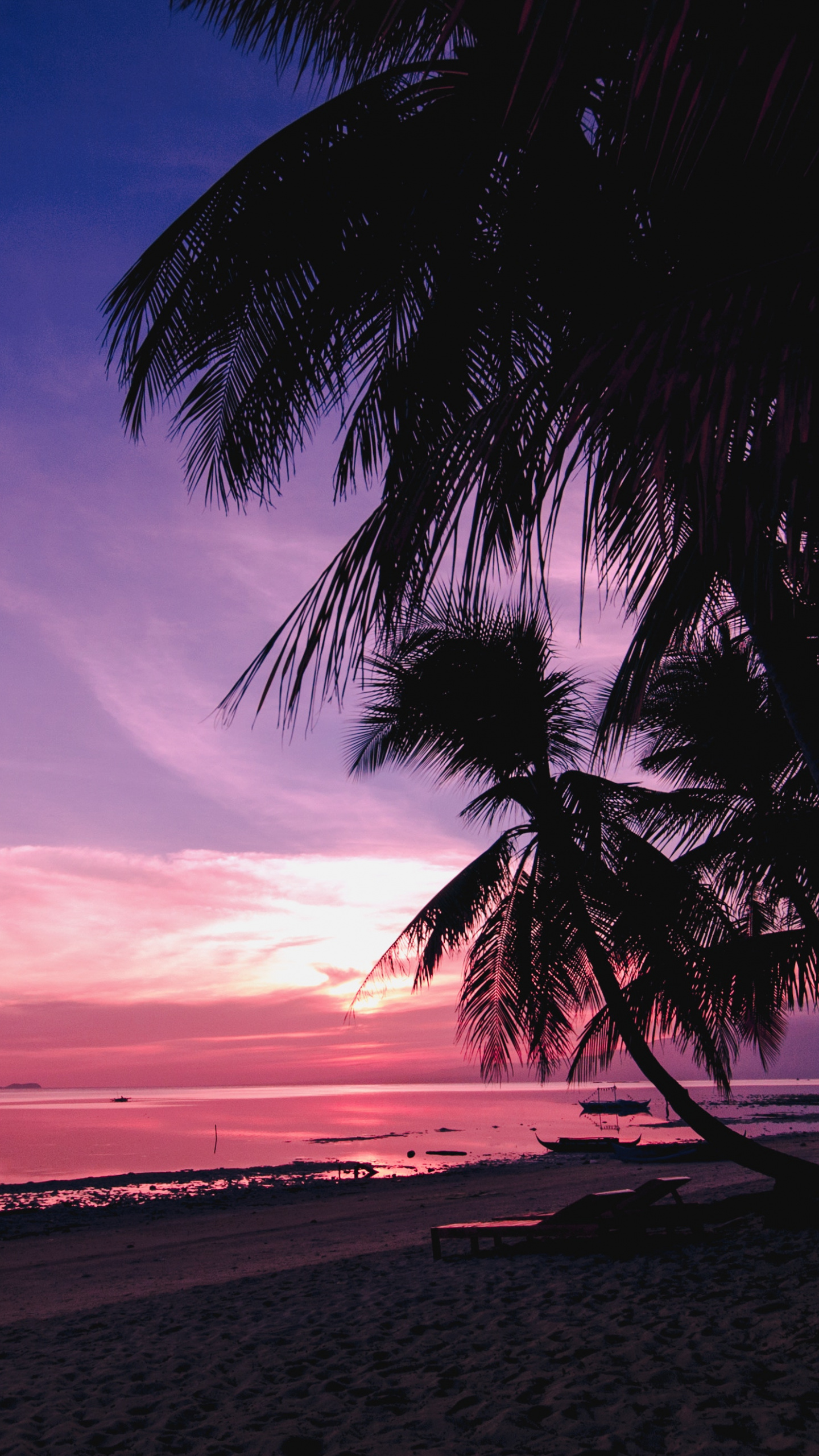 Sunset Beach Palm Trees - HD Wallpaper 