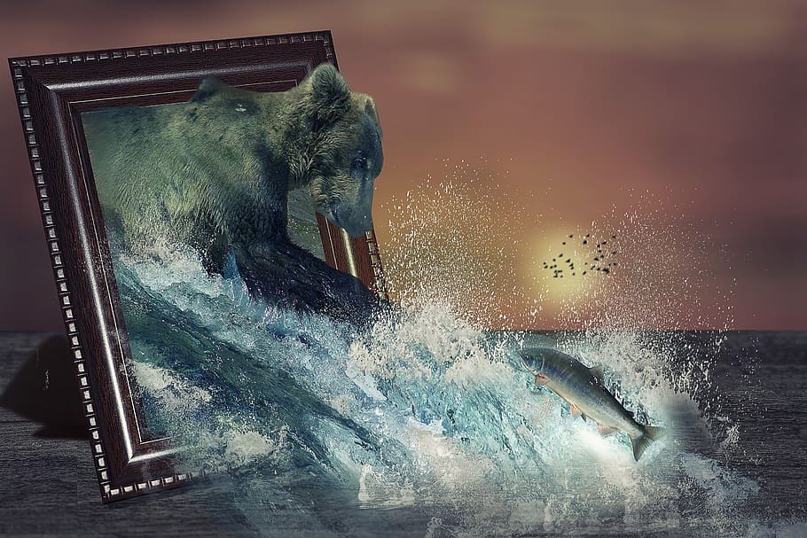 Katmai National Park - HD Wallpaper 