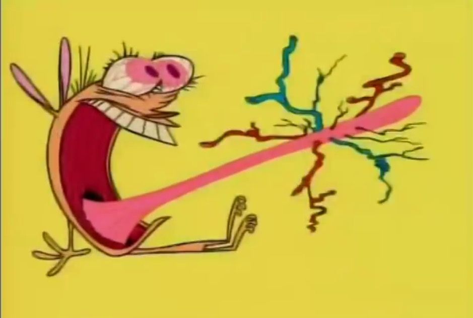 Ren Screaming As His Veins Pop Out Of His Tongue - Ren And Stimpy Ren Screaming - HD Wallpaper 