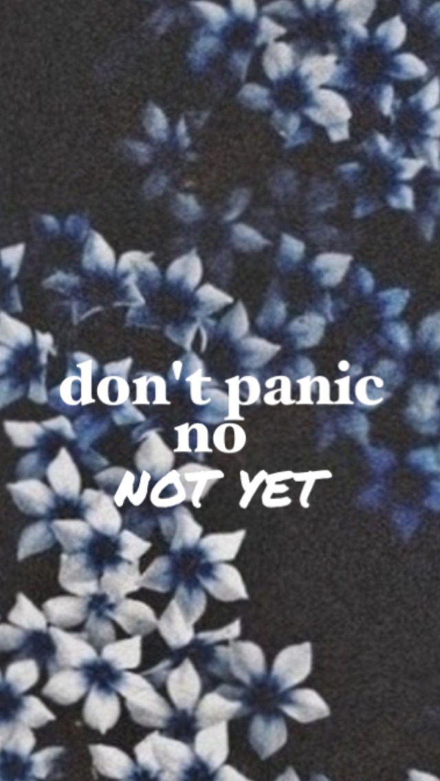 Fall Out Boy Lyric - HD Wallpaper 