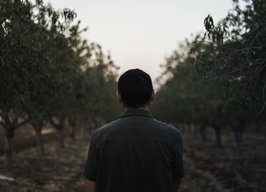 Gentleman - HD Wallpaper 