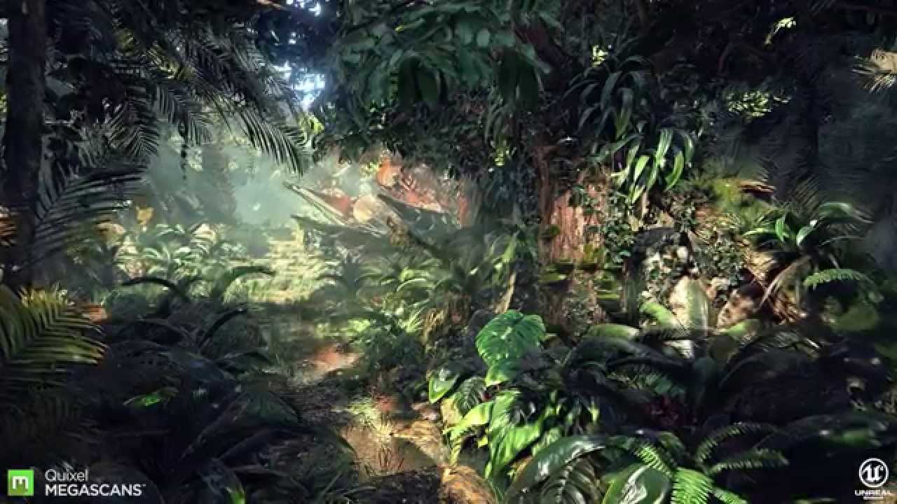 Megascans Jungle - HD Wallpaper 
