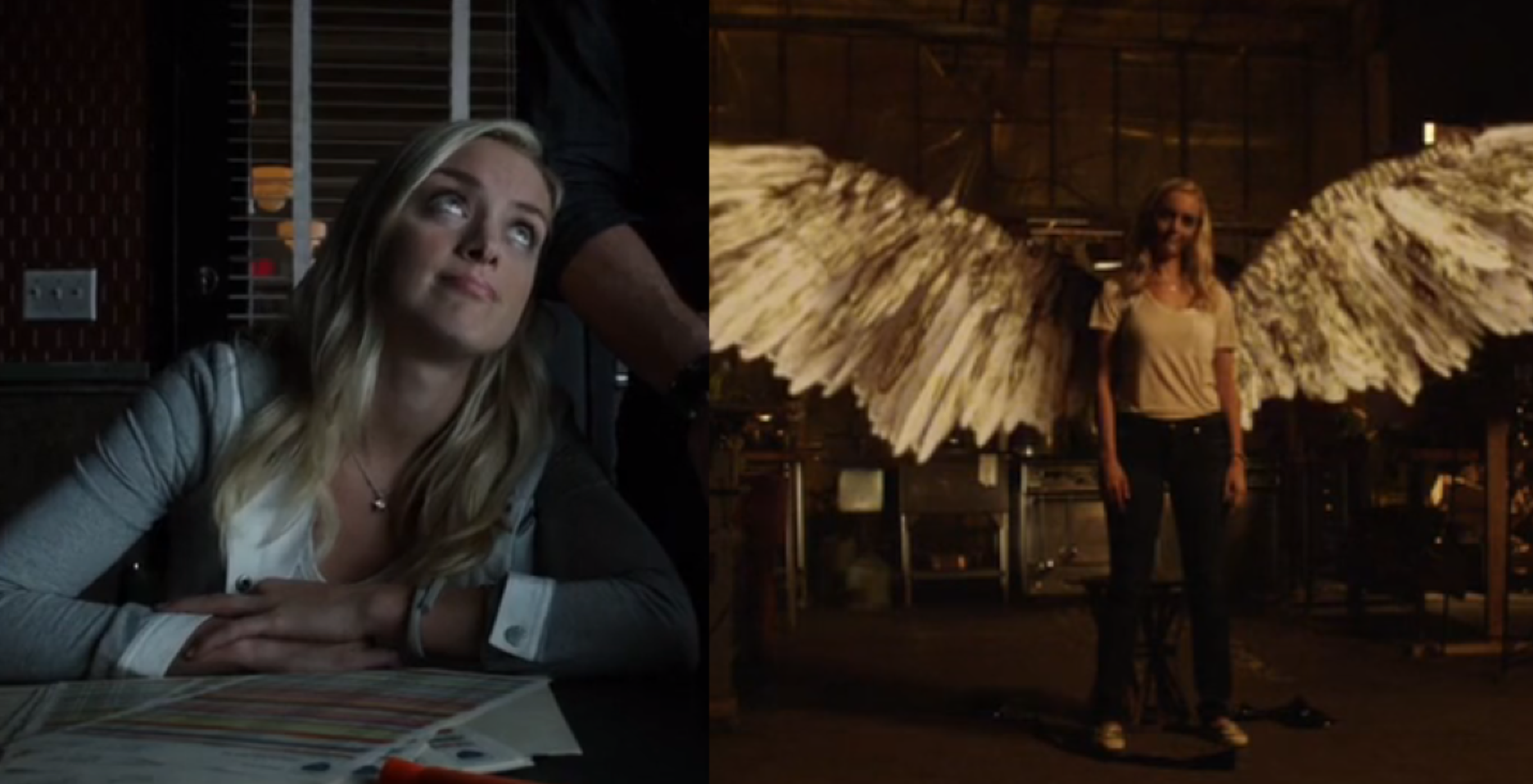 The New And Improved Tamsin - Lost Girl Valkyrie Wings - HD Wallpaper 