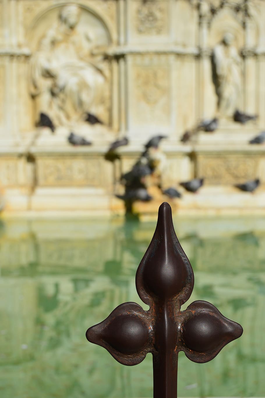 Pigeons, Fountain, History, The Fountain Of Gaia, Siena, - HD Wallpaper 
