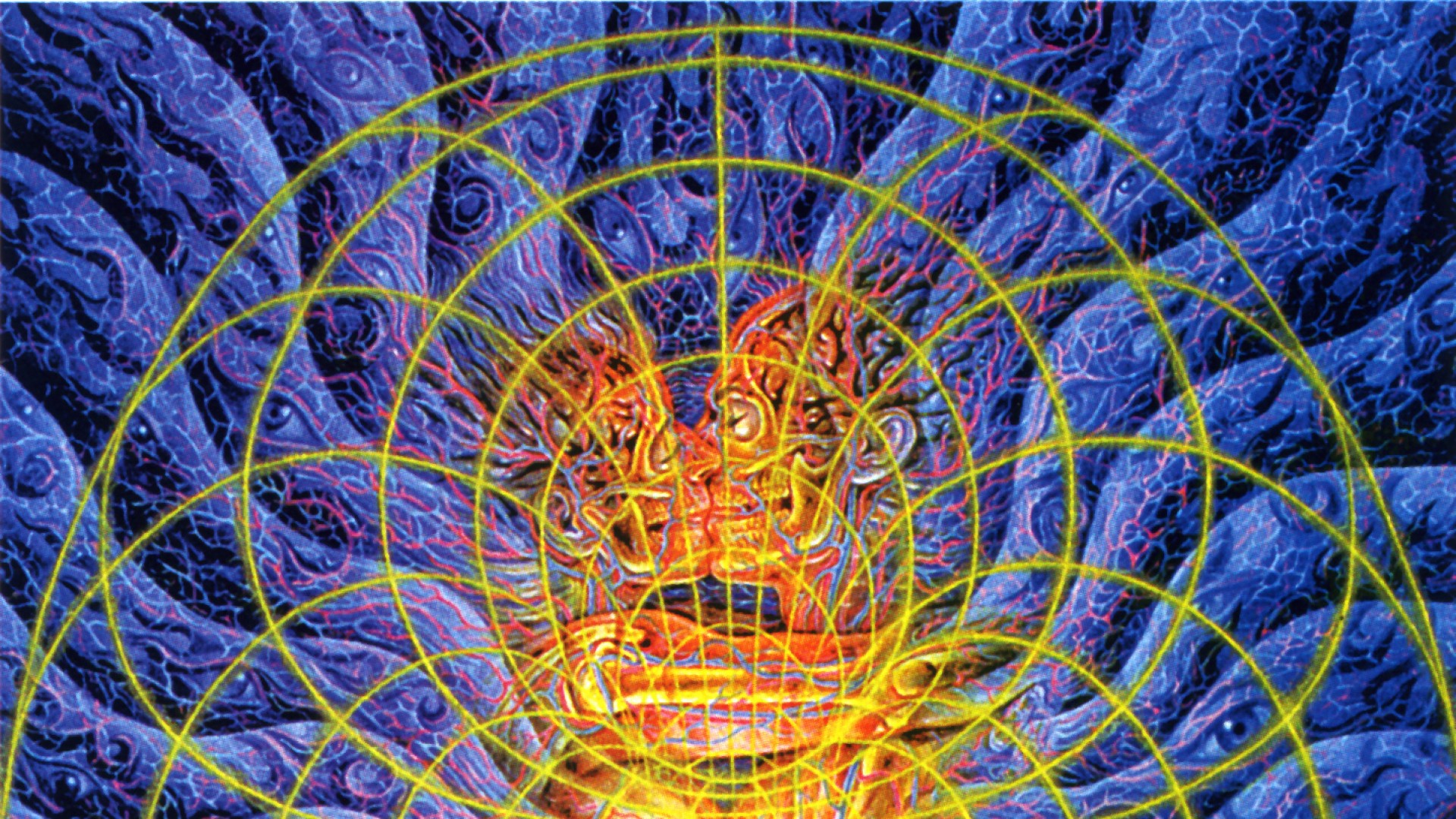 Best Images About ** ° Alex Grey ° ** On Pinterest - Alex Grey - HD Wallpaper 