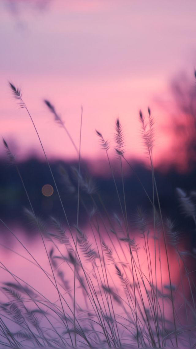 Lake, 4k, Hd Wallpaper, Grass, Sunset, Purple - Фиолетовый Обои На Телефон - HD Wallpaper 