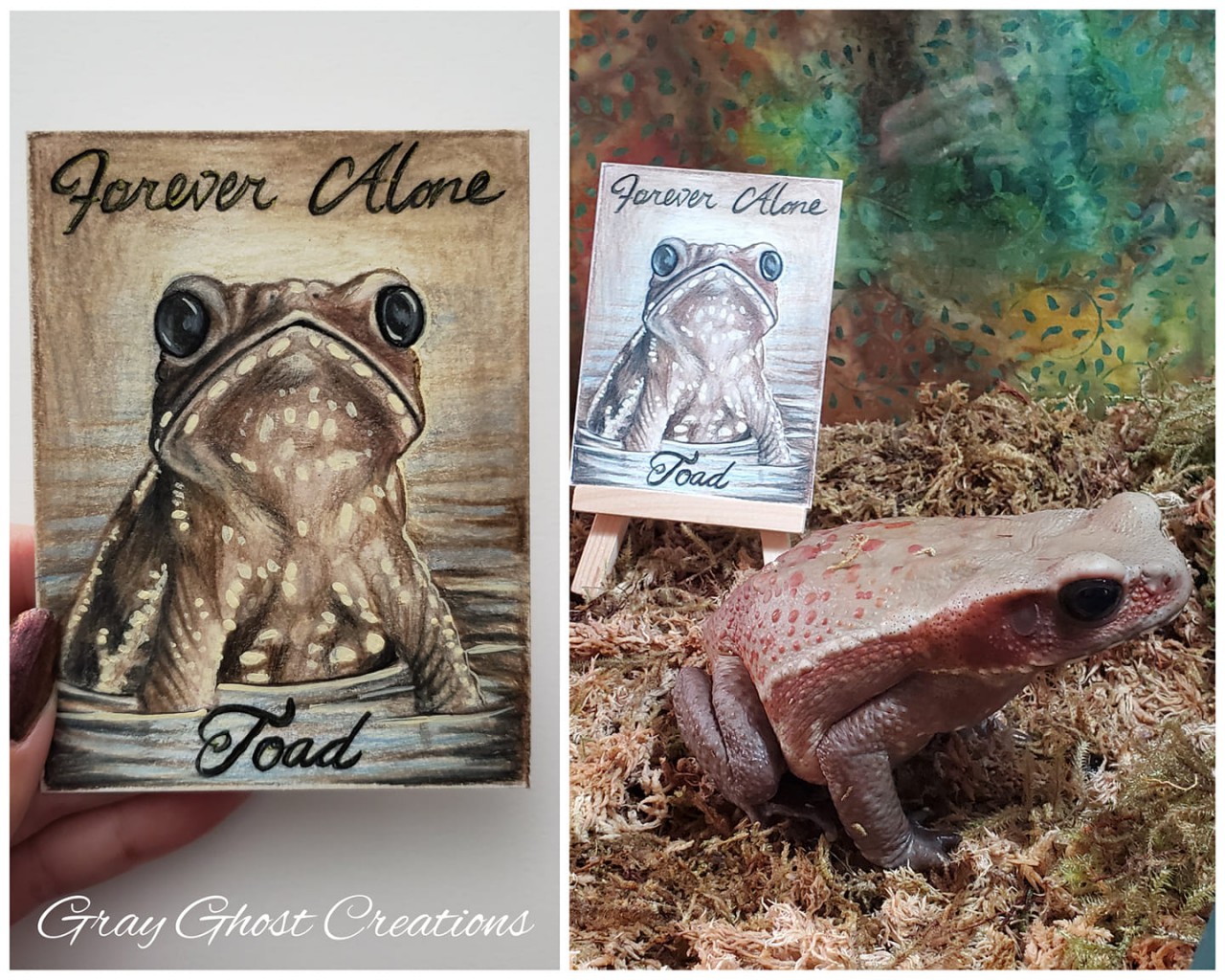 Forever Alone Toad - Eastern Spadefoot - HD Wallpaper 