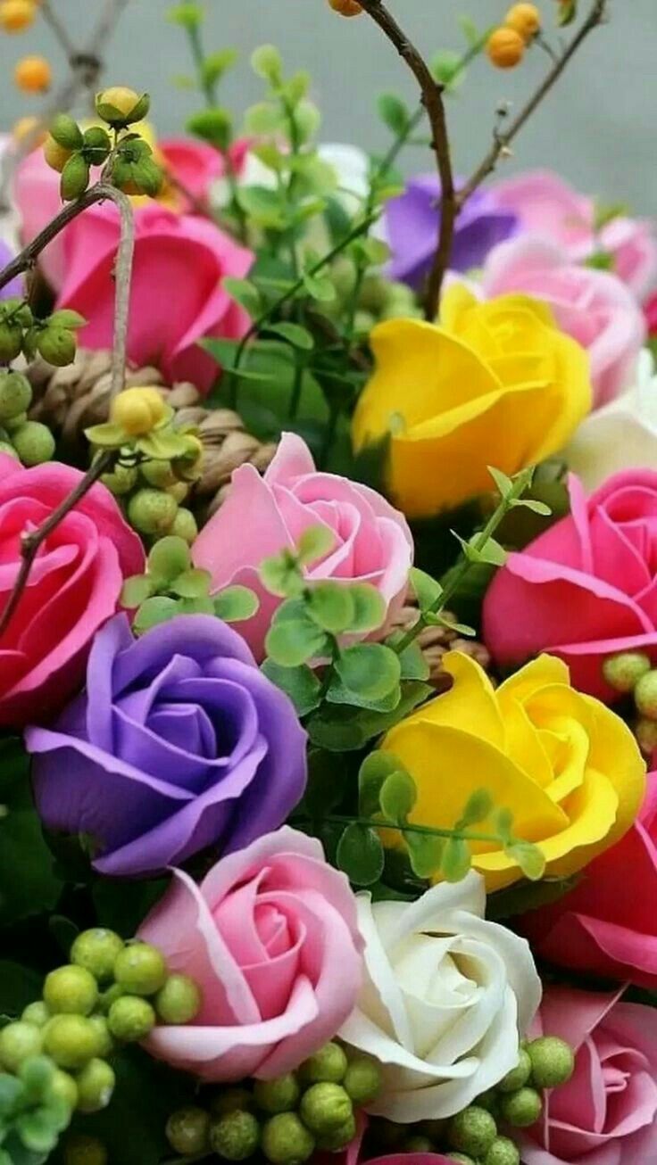 Beautiful Flowers - HD Wallpaper 